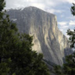 Meet your Posher, Travis